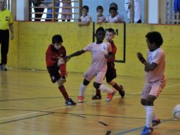 mini-DSC_6793